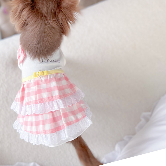 ピンクギンガムチェック× イエローリボン　ワンピース　桜色　犬服ワンピース 10枚目の画像