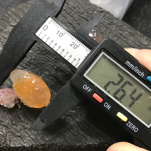 ゴビ石−1242 ゴビ瑪瑙　彫刻物セット　ハンドメイドパーツ ゴビ石−1242 ゴビ瑪瑙 彫刻物セット ハンドメイドパーツ 天然石