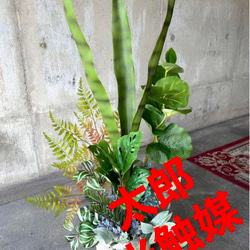 光触媒　人工観葉植物　ウォールグリーン　フェイクグリーン　サンスベリアアレンジ@ 1枚目の画像