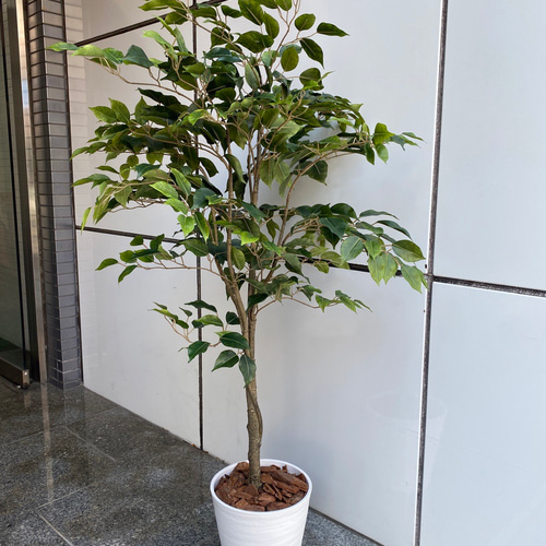 光触媒 人工観葉植物 ウォールグリーン フェイクグリーン ベンジャミン