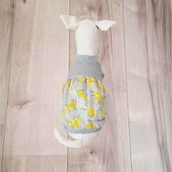 犬服～ミモザと青い鳥　ふんわりギャザータンクトップ　春夏　　受注製作(XS～DM) 5枚目の画像