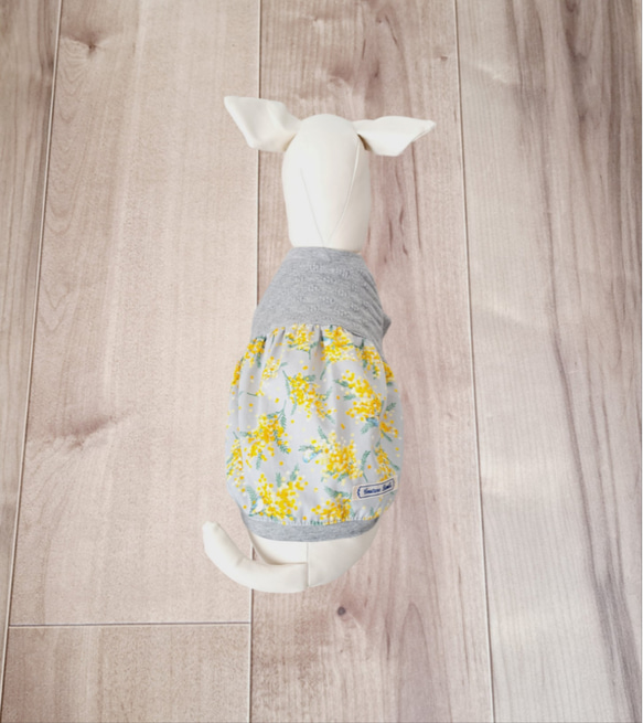 犬服～ミモザと青い鳥　ふんわりギャザータンクトップ　春夏　　受注製作(XS～DM) 5枚目の画像