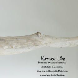 流木のお洒落なLongハンガー⁎✧✧ナチュラル 西海岸インテリア ウォール 6枚目の画像