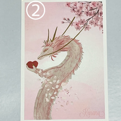 龍のポストカード★桜龍★3種類★優しさと愛を運ぶ桜龍★ 3枚目の画像