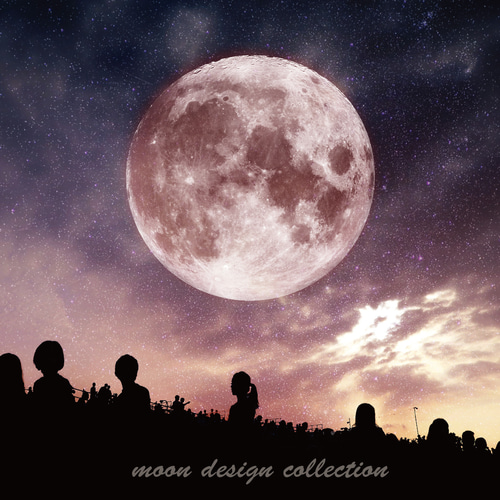 ピンクムーン“桜月夜”〉アート写真 写真・グラフィック moon ピンクムーン“桜月夜”〉アート写真 写真・グラフィック moon