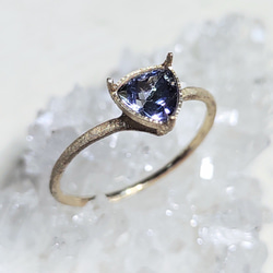 bicolor tanzanite＊K10 ring 3枚目の画像