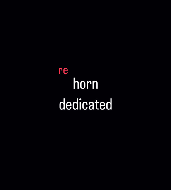 re.  horn dedicated  角  専用 1枚目の画像