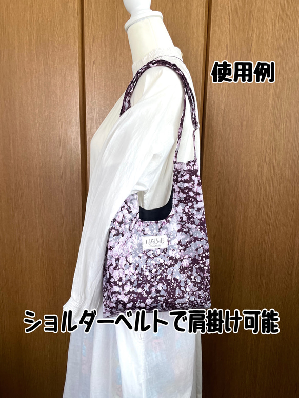  第9張的照片
