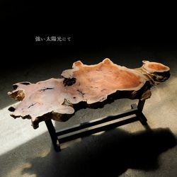 アートな形の欅の変木 一枚板 ローテーブル 13枚目の画像