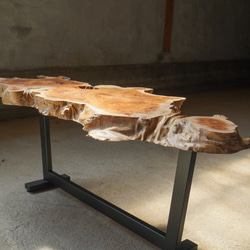 アートな形の欅の変木 一枚板 ローテーブル 10枚目の画像