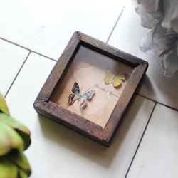 蝶のミニチュア標本箱_黄と緑の2匹【胡蝶の夢】 4枚目の画像