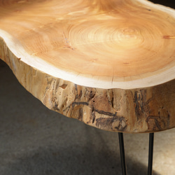 分厚い欅の輪切り 一枚板 コーヒーテーブル （高さ・カラー変更無料） 10枚目の画像