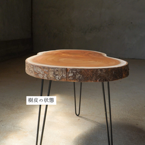 欅？ 輪切 テーブル 一枚板 丸太 コーヒーテーブル 一枚板輪切り｜丸