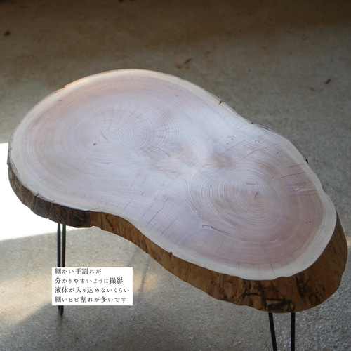 分厚い欅の輪切り 一枚板 コーヒーテーブル （高さ・カラー変更