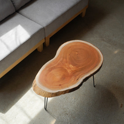分厚い欅の輪切り 一枚板 コーヒーテーブル 3枚目の画像