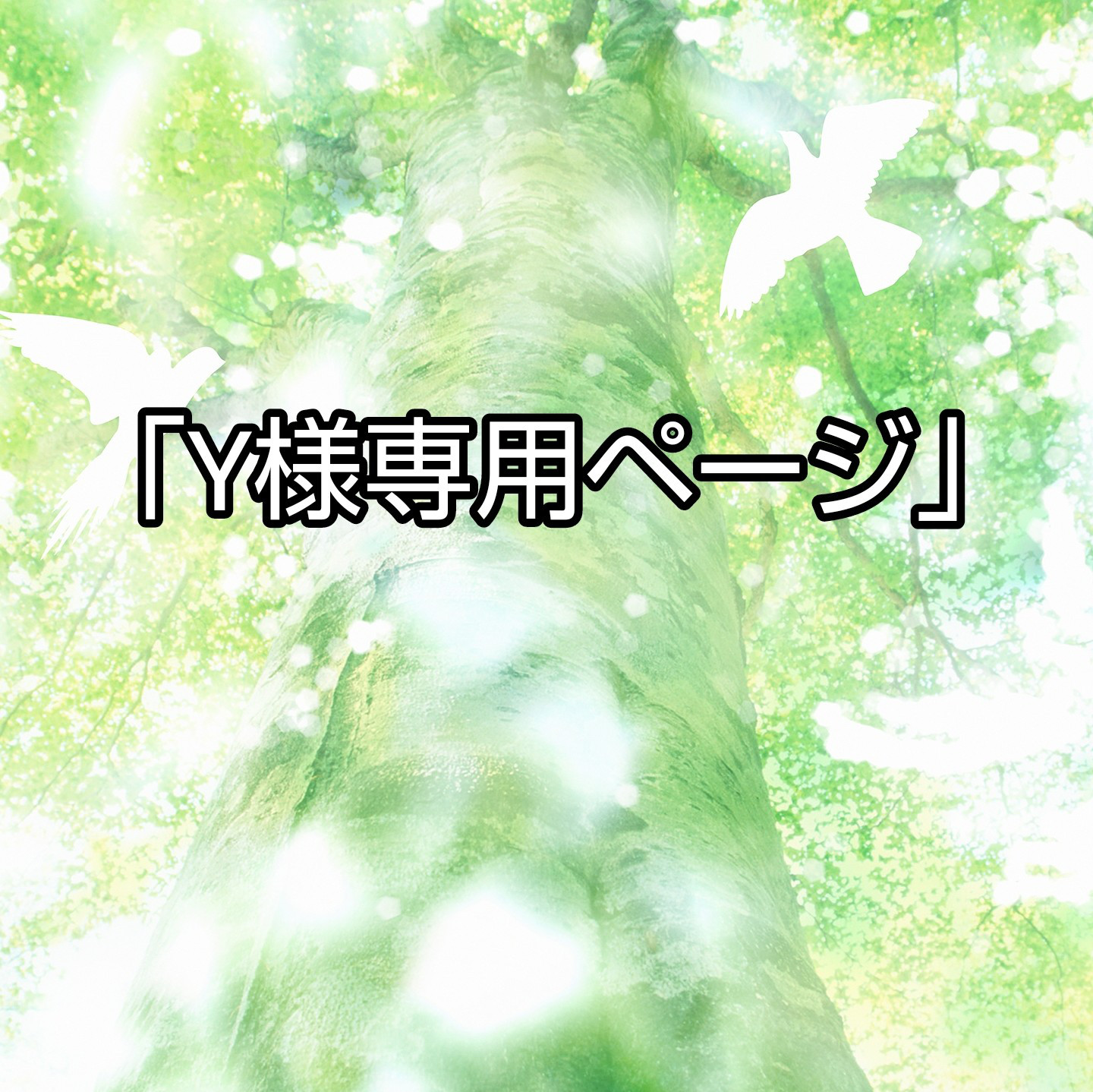 ゆー様専用 ゆーさくさま専用 ゆーさま 専用 ゆーさま 専用 スリクソン