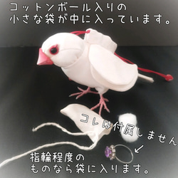 【お一人様1点限り】シルバー文鳥さんの匂い袋️ 5枚目の画像