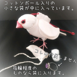 【お一人様1点限り】白文鳥さんの匂い袋️Ａ 5枚目の画像