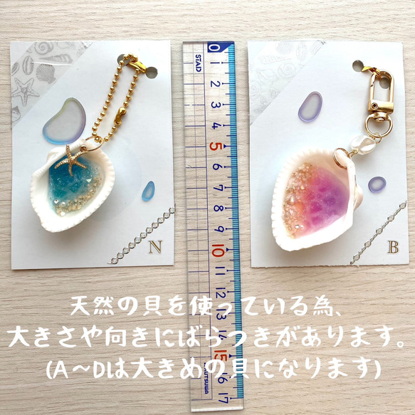 ✧海のキーホルダー✧ 　天然貝殻　貝　キーホルダー　海辺　シェル　夏　 12枚目の画像