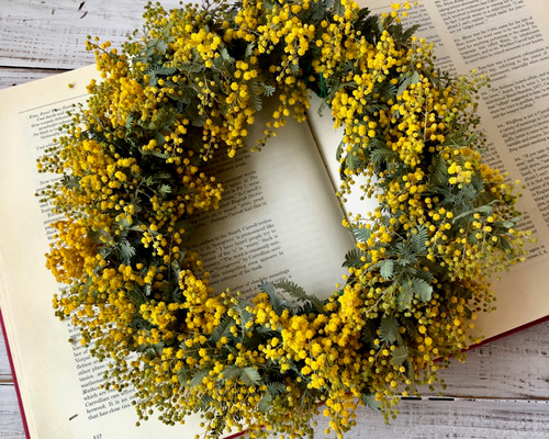 たっぷりミモザのリース 直径26cm ドライフラワー 星月猫 （徳島洋子
