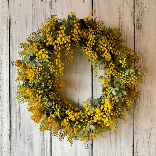 たっぷりミモザのリース 直径26cm ドライフラワー 星月猫 （徳島洋子