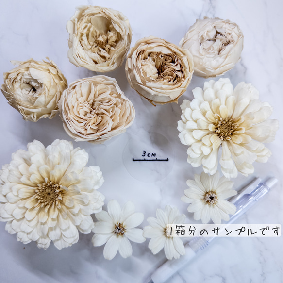 [送料無料]プリザの花箱✿Mellow White 花材セット詰め合わせ プリザーブドフラワー ドライフラワー 2枚目の画像