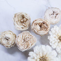 [送料無料]プリザの花箱✿Mellow White 花材セット詰め合わせ プリザーブドフラワー ドライフラワー 3枚目の画像
