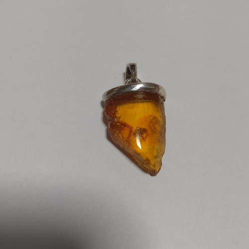 蜘蛛いり琥珀シルバーペンダントトップ 蜘蛛入り琥珀シルバーペンダントトップ ペンダントトップ あとりえ-た