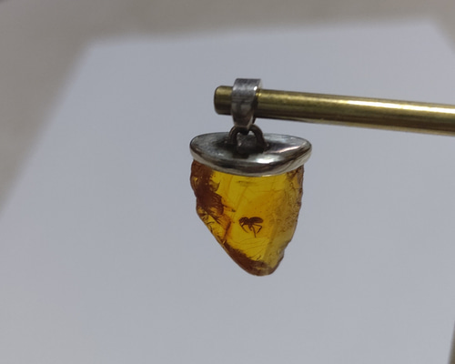 蜘蛛いり琥珀シルバーペンダントトップ 蜘蛛いり琥珀シルバーペンダントトップ