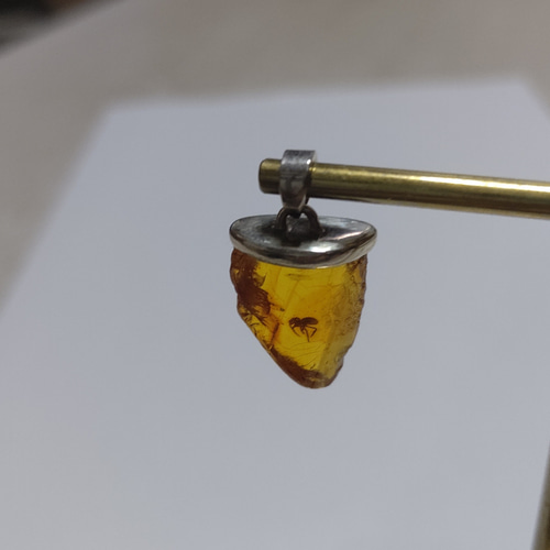 蜘蛛いり琥珀シルバーペンダントトップ 蜘蛛入り琥珀シルバーペンダントトップ ペンダントトップ あとりえ-た