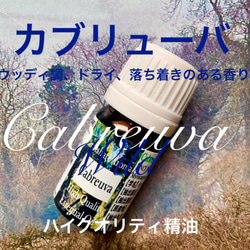 カブリューバワイルド精油10ml 2枚目の画像