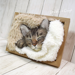 タオルに包まれて眠るキジトラ猫 4枚目の画像