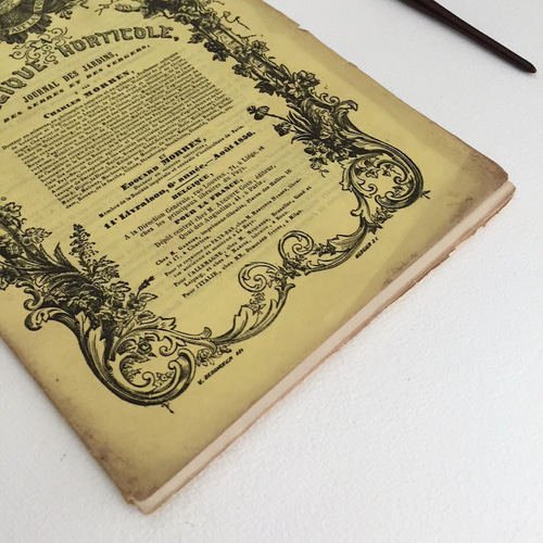 アンティークペーパーグッズ SALE アンティークペーパー ベルギー冊子 ラベル コラージュ 文具 紙