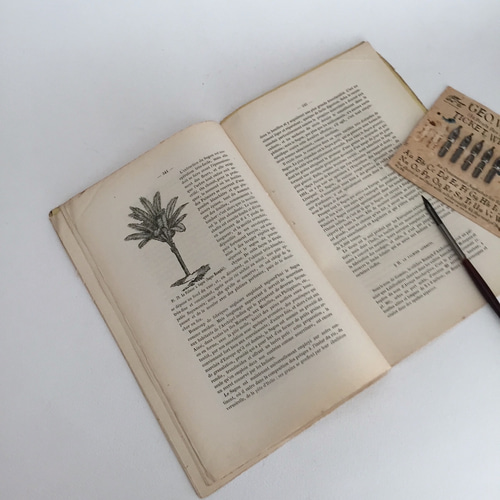 SALE アンティークペーパー ベルギー冊子 ラベル コラージュ 文具 紙