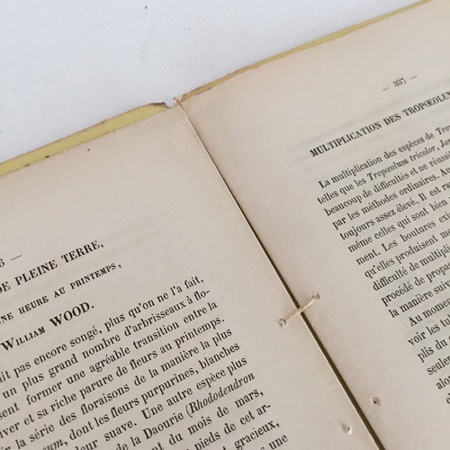 SALE アンティークペーパー ベルギー冊子 ラベル コラージュ 文具 紙