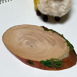 ◆モフモフぷっくり　キツネ　木の土台付き　羊毛フェルト人形 8枚目の画像