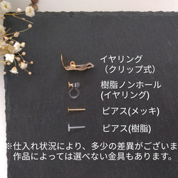 【ぎらぎら】ビーズ刺繍の耳飾り（ピアス/イヤリング） 11枚目の画像