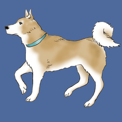 柴犬/ジップパーカー/10.0オンス裏パイル/デザイン選択・変更可/ミックスグレー 5枚目の画像