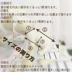 【犬服】花びら入りオーガンジーバルーントップス☆ 10枚目の画像