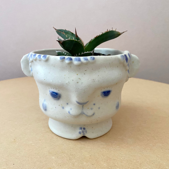 青い瞳のまなざしちゃん鉢#261【植木鉢】【plant pot】 11枚目の画像