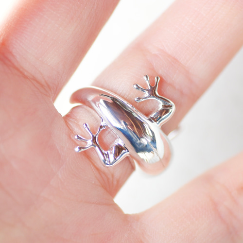 ⬛︎ Gecko Odd-eye ring #10.5【ラブラドライト&ピンク・トルマリン