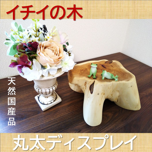 自然の美しさを演出するイチイの丸太ディスプレイ 一点物 丸太 ミニ