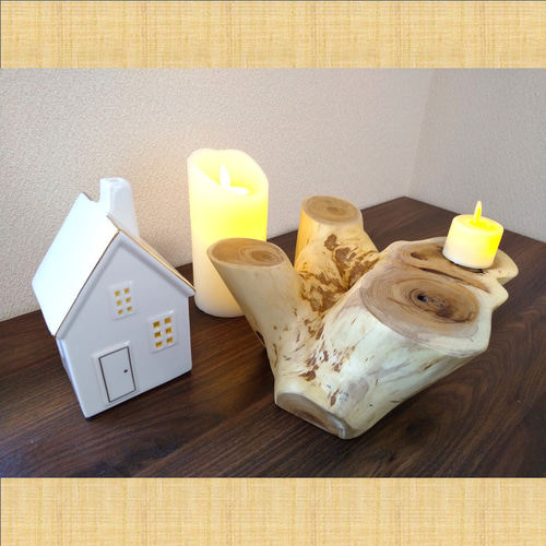 自然の美しさを演出するイチイの丸太ディスプレイ 一点物 丸太 ミニ