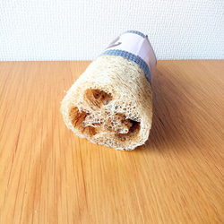 #２4ワンちゃんの歯ブラシ大or小　飼い主さんのタワシにも　無農薬　手作りヘチマ 2枚目の画像