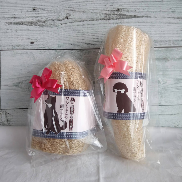 #２4ワンちゃんの歯ブラシ大or小　飼い主さんのタワシにも　無農薬　手作りヘチマ 8枚目の画像