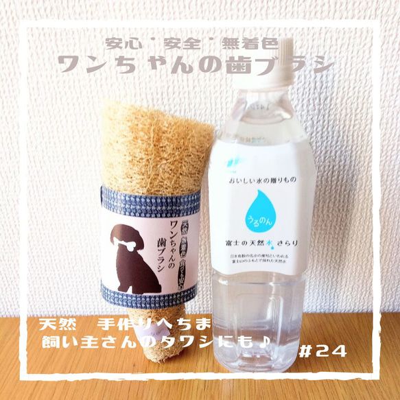 #２4ワンちゃんの歯ブラシ大or小　飼い主さんのタワシにも　無農薬　手作りヘチマ 1枚目の画像