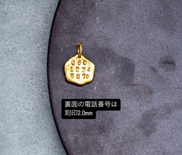  第10張的照片