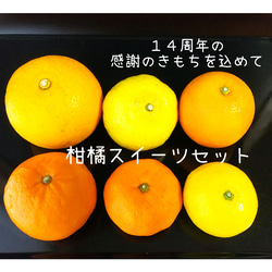 【送料無料】柑橘スイーツ10点セット＊１４周年感謝企画 2枚目の画像
