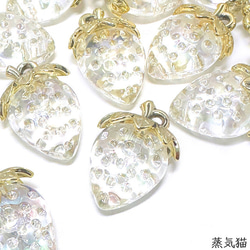 銀貨】庭猫 フィジー 2022年 1オンス シルバーコイン カラー版【純銀