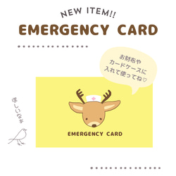 シカのEMERGENCY CARD 1枚（緊急連絡先）5.5cm×9cm 7枚目の画像